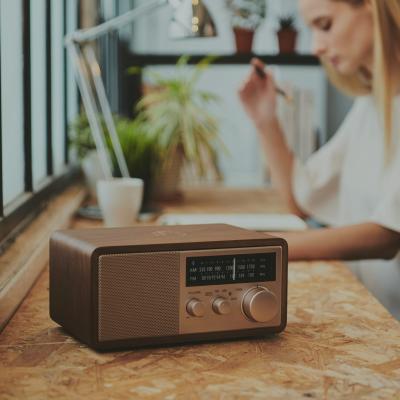 Sangean AM / FM / AUX / Bluetooth Wooden Cabinet Radio in Rose Gold - 14-WR16SE