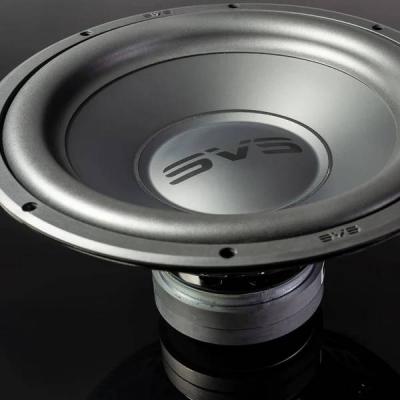 SVSound 325 Watts SB 1000 Pro Subwoofer - SVS-SB-1000PROBLKASH